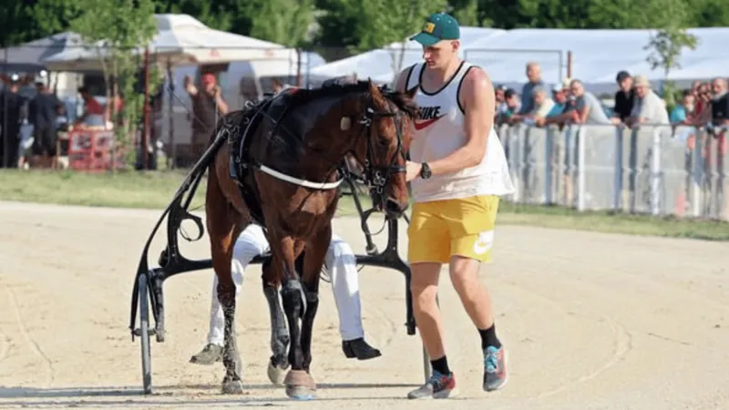 华体会官网-Shames：约基奇将在赛季结束后从NBA退役，转战马术赛场备战28年奥运会